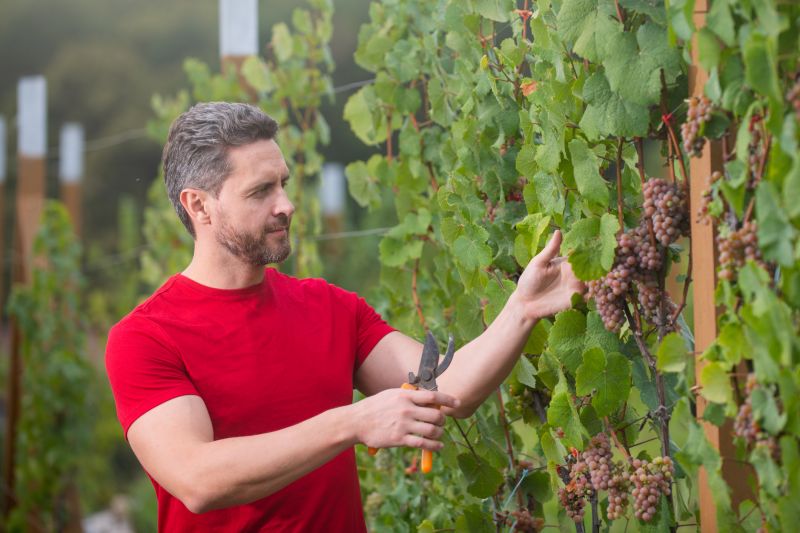 Best Siding Repair pros in Grapevine, TX