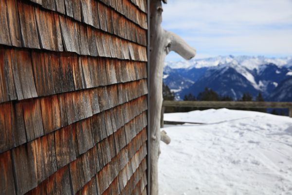 Cedar Siding Repair in Keller